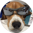 Stan Mokrzecki avatar